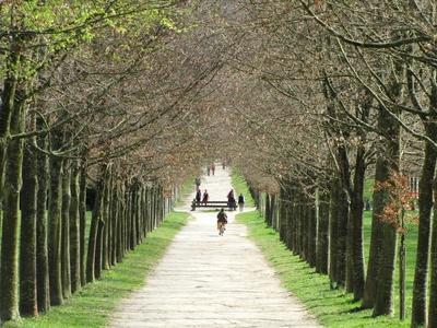 Versaillesi kastélypark. Trianon.-stock-foto