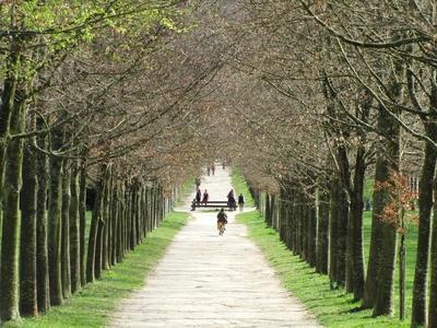 Versaillesi kastélypark. Trianon.-stock-photo