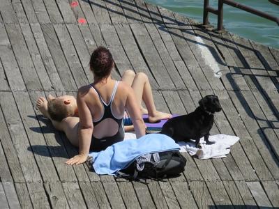 Napozó anya gyermekével és tacskójával a Bánki-tó partján.-stock-foto