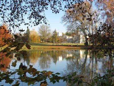 A martonvásári Brunszvik kastély õszi díszben-stock-foto