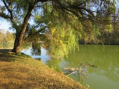 A természet õsszel - Martonvásár-stock-foto