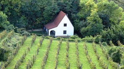 Szekszárd, 2010. szeptember 7.Szekszárdi szõlõs présházzal.-stock-foto