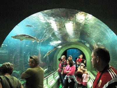 Poroszló, 2016. október 2.Látogatók a Tisza-tavi Ökocentrum akváriuma alatti folyósón.-stock-foto