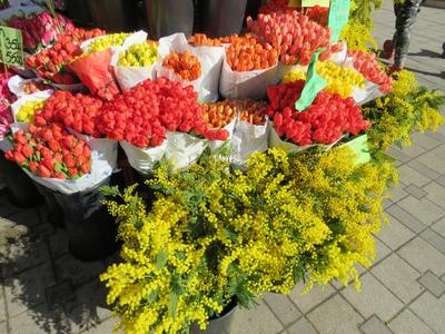 Virágok - Tulipán és mimóza-stock-foto