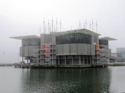 Oceanárium - Tengeri élõvilág-stock-foto