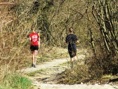 Kocogó lányok az erdõben-stock-foto