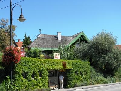 Tihany, 2008. augusztus 31.Tihanyi utcakép nádtetõvel és borostyánnal.-stock-foto