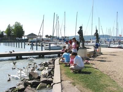 Balatonfüred, 2008. augusztus 31.Balatonfüredi kikötõ emberekkel és hattyúkkal.-stock-foto