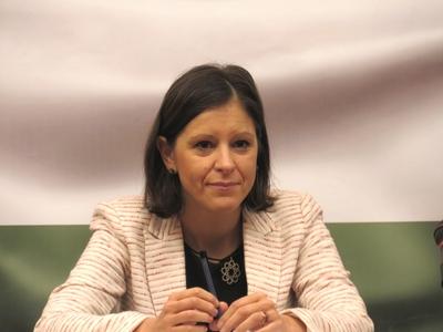 Szél Bernadett képviselõ-stock-foto