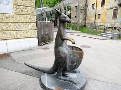 Kenguru ivókút-stock-foto