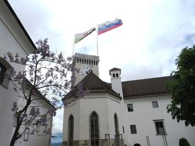 Vártorony - Ljubljana-stock-foto