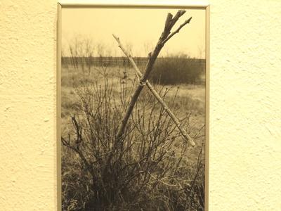 1956 - 301. parcella - Fotókiállítás-stock-foto