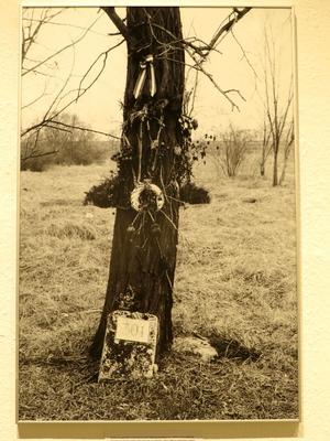 1956 - 301. parcella - Fotókiállítás-stock-foto