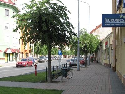 Sárvár (Hungary), 11 September 2016Street of Sárvár.Batthyány utca.-stock-foto