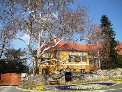 Szigliget - Esterházy kastély és platánfa-stock-foto