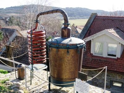 Levendula lepárló berendezés Tihanyban-stock-foto
