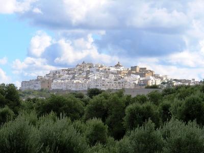 Ostuni olajfák gyûrûjében - Olaszország-stock-foto