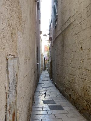 Taranto - Óvárosi sikátor galambbal - Olaszország-stock-foto