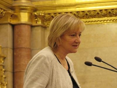 Schmuck Erzsébet (LMP) országgyûlési képviselõ-stock-foto
