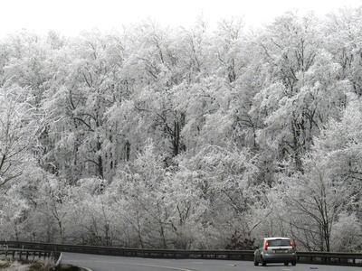 Téli táj - Zúzmarás fák - Országút-stock-photo