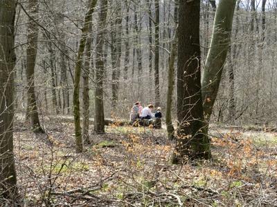 Family sitting on a tree trunk - Forest - Spring-stock-photo