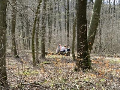 Family sitting on a tree trunk - Forest - Spring-stock-foto