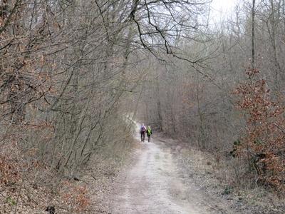 Hiking couple in a Forest - Spring-stock-foto