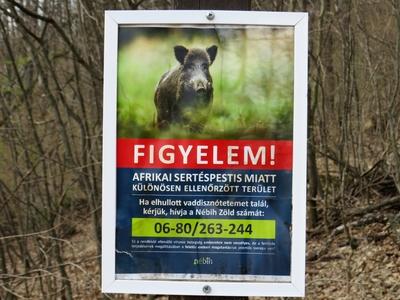 African swine fever warning sign in a Hungarian Forest-stock-photo