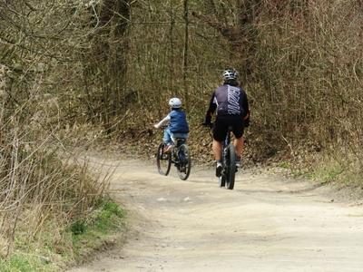 Spring in Nagykovácsi Forest-stock-foto