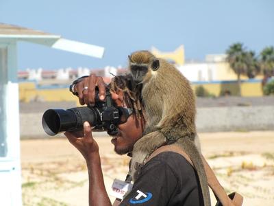Cape Verde - African Photographer with Monkey-stock-foto
