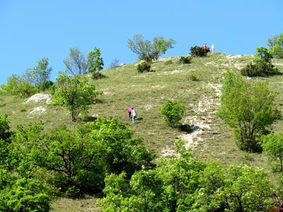 Spring on Dog Hill in Nagykovácsi-stock-photo