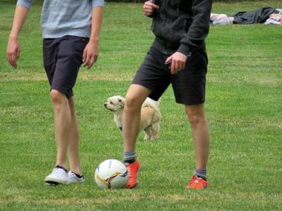 Relaxation on margaret Island-stock-foto
