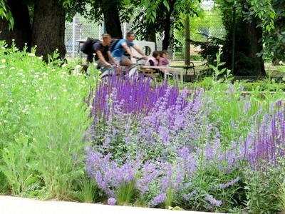 Pentecostal atmosphere on Margaret Island-stock-foto