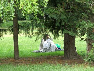 Piknik on Margaret Island-stock-foto
