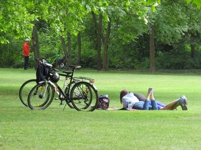 Picnic on Margaret Island -. Nature-stock-foto