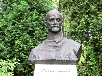 Bust of Hungarian sculptor Strobl Alajos-stock-foto