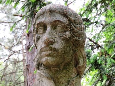 Bust of Hungarian poet Csokonai Vitéz Mihály-stock-foto