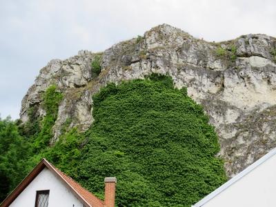 Nature - Ivy - Veszprém - Benedek Mountain-stock-foto