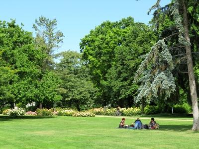Picnic on Margaret Island - Budapest-stock-foto
