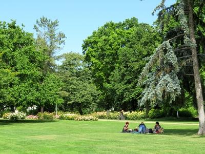 Picnic on Margaret Island - Budapest-stock-photo