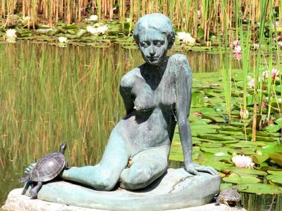 Sitrting girl statue - Turtles - Margaret Island lake-stock-photo