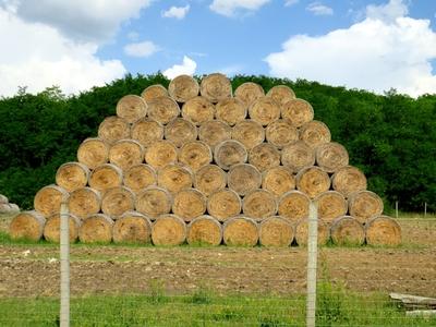 Straw bales - Agriculture - Hungary-stock-foto