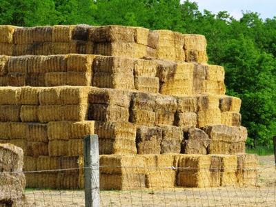Straw bales - Hungary - Agroculture-stock-photo