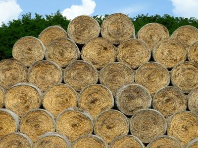 Straw bales - Agriculture - Hungary-stock-foto