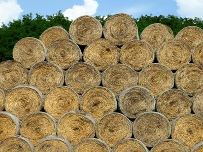 Straw bales - Agriculture - Hungary-stock-photo