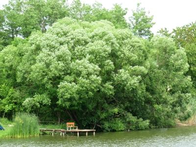 Lake - Diósjenő - Hungary-stock-photo