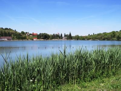 Bánk, 13 May 2018The Environment of Lake of Bánk (Northern Hungary).A Bánki-tó ternészeti környezete.-stock-photo