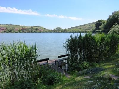 Bánk, 13 May 2018The environment of Lake of Bánk.A Bánki-tó természeti környezete.-stock-photo