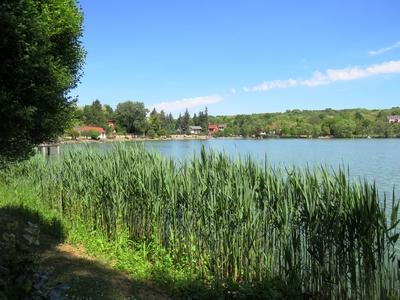 Bánk, 13 May 2018The environment of Lake of Bánk.A Bánki-tó természeti környezete.-stock-photo