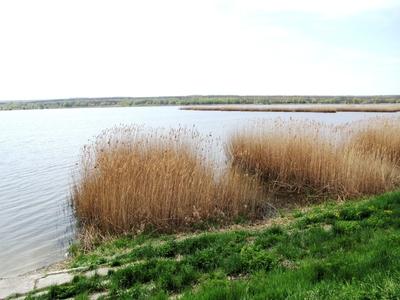 Pátka - Reservoir -Fishing lake - Hungary-stock-photo